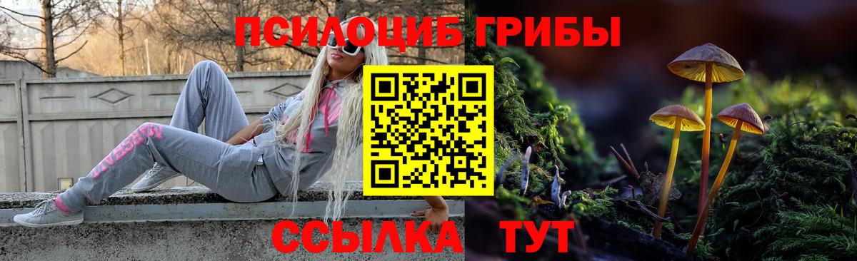 Галлюциногенные грибы GOLDEN TEACHER Тихорецк